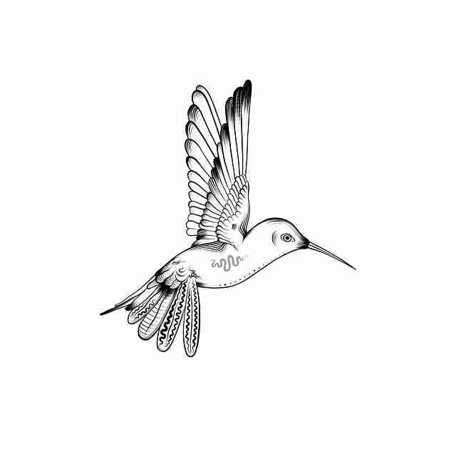 V5.6麻豆——十大看点全景重现